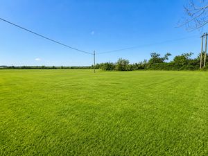 Field - click for photo gallery